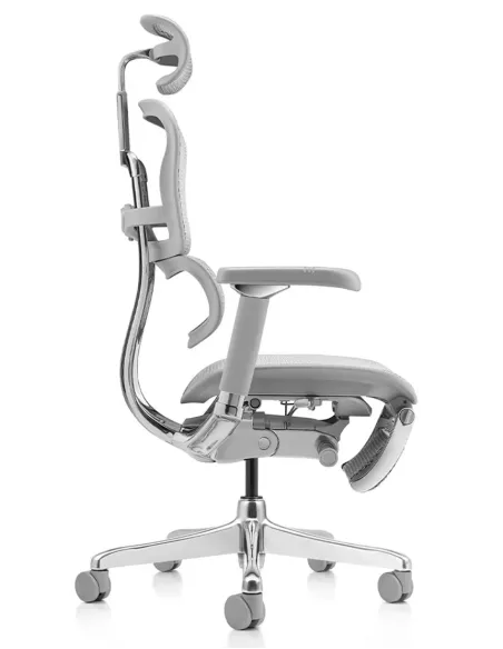Кресло ERGOHUMAN LUXURY 2 (EHL2-AG-HAM-5D-D-LM, сетка Т-168-B2 Natural), эргономичное. с подставкой под ноги
