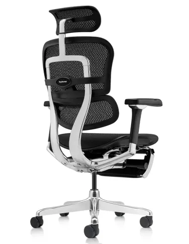 Кресло ERGOHUMAN LUXURY 2 (EHL2-AB-HAM-5D-D-LM, сетка Т-168-B1 Black), эргономичное, с подставкой под ноги