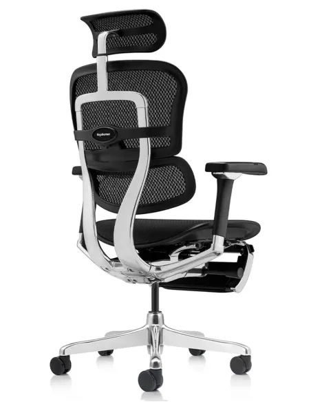 Кресло ERGOHUMAN LUXURY 2 (EHL2-AB-HAM-5D-D-LM, сетка Т-168-B1 Black), эргономичное, с подставкой под ноги