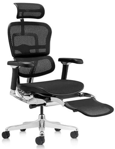 Кресло ERGOHUMAN LUXURY 2 (EHL2-AB-HAM-5D-D-LM, сетка Т-168-B1 Black), эргономичное, с подставкой под ноги