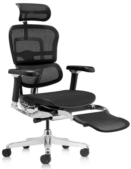 Кресло ERGOHUMAN LUXURY 2 (EHL2-AB-HAM-5D-D-LM, сетка Т-168-B1 Black), эргономичное, с подставкой под ноги