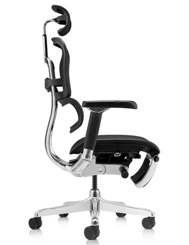 Кресло ERGOHUMAN LUXURY 2 (EHL2-AB-HAM-5D-D-LM, сетка Т-168-B1 Black), эргономичное, с подставкой под ноги