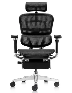 Крісло ERGOHUMAN LUXURY 2 (EHL2-AB-HAM-5D-D-LM, сітка Т-168-B1 Black), ергономічне, з підставкою під ноги 2