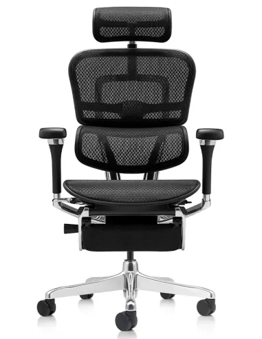 Кресло ERGOHUMAN LUXURY 2 (EHL2-AB-HAM-5D-D-LM, сетка Т-168-B1 Black), эргономичное, с подставкой под ноги