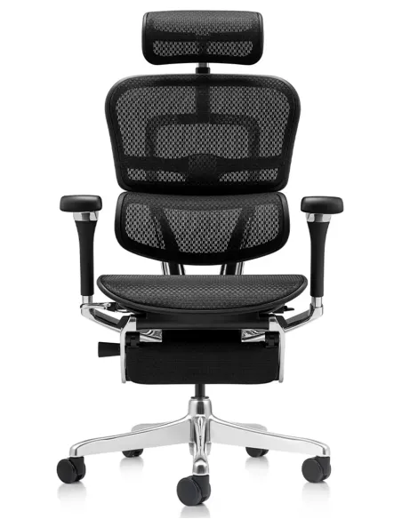 Кресло ERGOHUMAN LUXURY 2 (EHL2-AB-HAM-5D-D-LM, сетка Т-168-B1 Black), эргономичное, с подставкой под ноги
