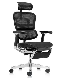Крісло ERGOHUMAN LUXURY 2 (EHL2-AB-HAM-5D-D-LM, сітка Т-168-B1 Black), ергономічне, з підставкою під ноги
