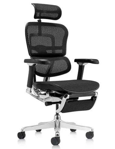 Кресло ERGOHUMAN LUXURY 2 (EHL2-AB-HAM-5D-D-LM, сетка Т-168-B1 Black), эргономичное, с подставкой под ноги