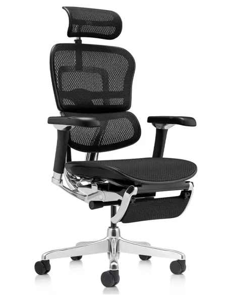 Кресло ERGOHUMAN LUXURY 2 (EHL2-AB-HAM-5D-D-LM, сетка Т-168-B1 Black), эргономичное, с подставкой под ноги