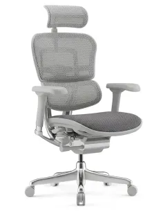 Кресло ERGOHUMAN ELITE 2 (EHE2-AG-HBM-F-5D-L), эргономичное, с тканевым сиденьем