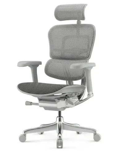Крісло ERGOHUMAN ELITE 2 (EHE2-AG-HBM-F-5D-L), ергономічне, з тканинним сидінням