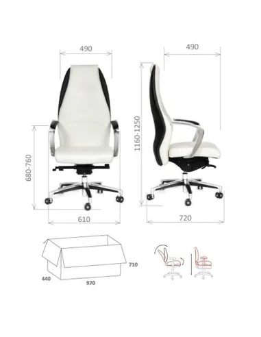 Кресло CHAIRMAN Basic для руководителя