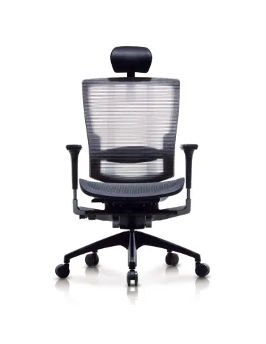 Кресло DUOREST DuoFlex Mesh BR-200M для руководителя, ортопедическое