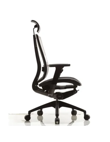 Кресло DUOREST DuoFlex Mesh BR-200M для руководителя, ортопедическое