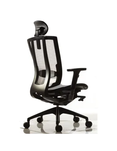 Кресло DUOREST DuoFlex Mesh BR-200M для руководителя, ортопедическое