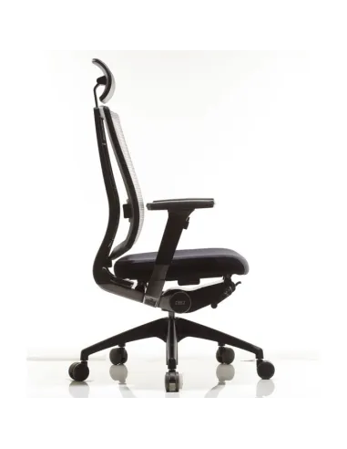 Кресло DUOREST DuoFlex Combi BR-200С для руководителя, ортопедическое