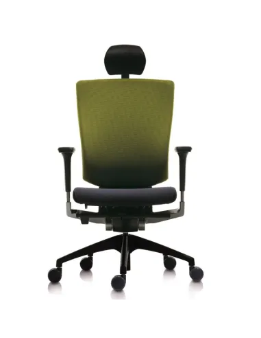 Кресло DUOREST DuoFlex Sponge B-100S для руководителя, ортопедическое