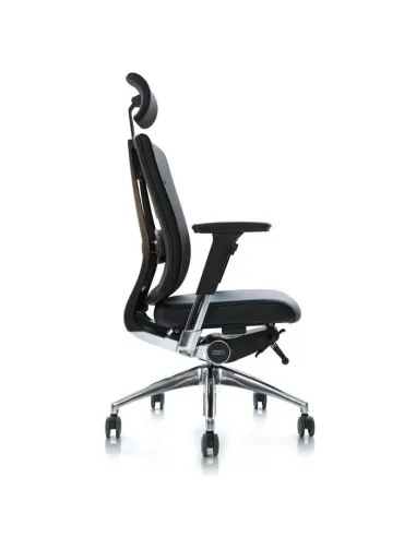 Крісло DUOREST DuoFlex Leather BR-100L для керівника, ортопедичне - Купити офісне крісло. Ціна в Києві, Харкові, Дніпроп