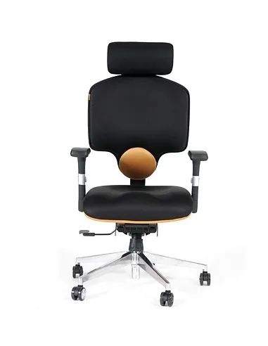 Крісло CHAIRMAN 425 - Купити офісне крісло для керівника чорне. Ціна в Києві, Харкові, Дніпрі, Одесі, Донецьку, З