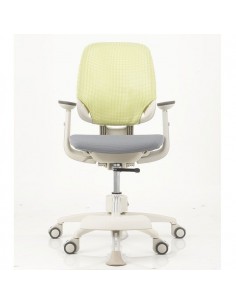 Кресло DUOREST DuoFlex Junior Combi подростковое, ортопедическое, цвет зеленый/серый 2