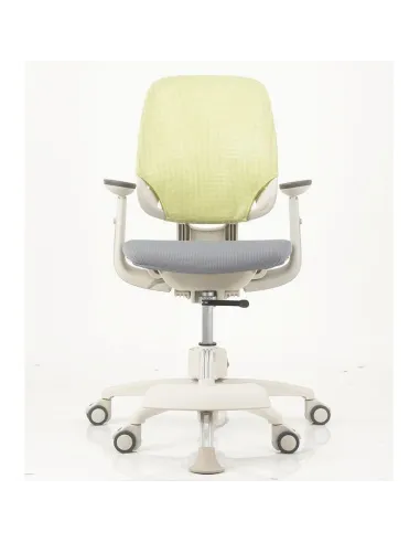 Крісло DUOREST DuoFlex Junior Combi підліткове ортопедичне, колір зелений / сірий - Купити крісло підліткове ортопедичне.