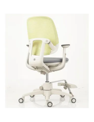 Крісло DUOREST DuoFlex Junior Combi підліткове ортопедичне, колір зелений / сірий - Купити крісло підліткове ортопедичне.