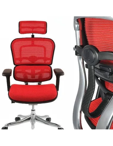 Кресло компьютерное ERGOHUMAN PLUS, эргономичное, черного цвета