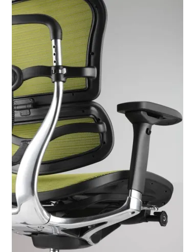 Кресло компьютерное ERGOHUMAN PLUS, эргономичное, черного цвета