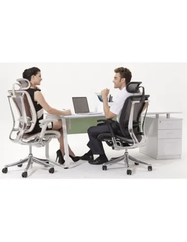 Кресло EXPERT SPRING (HSPM-01) для руководителя, эргономичное, цвет черный