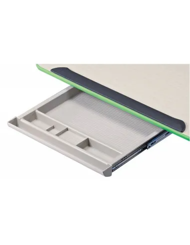 Стіл Бюрократ Conductor-12 / BEECH & G письмовий дитячий, колір зелений, бук - Купити дитячий письмовий стіл-парту. Ціна в Києві