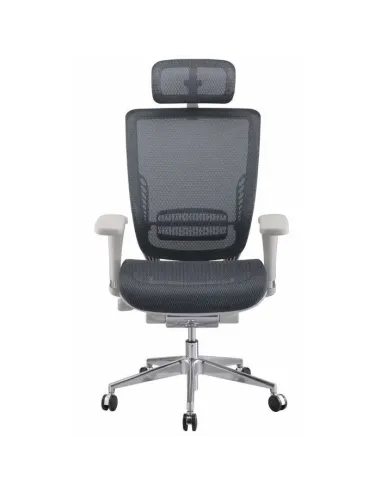 Крісло EXPERT Spark (SR-01G) для керівника, ергономічне - Купити офісне крісло сітчасте. Ціна в Києві, Харкові, Дніпрі, Одесі