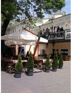 Зонт консольный XL деревянный