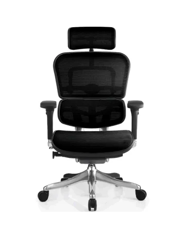 Кресло компьютерное ERGOHUMAN PLUS, эргономичное, черного цвета
