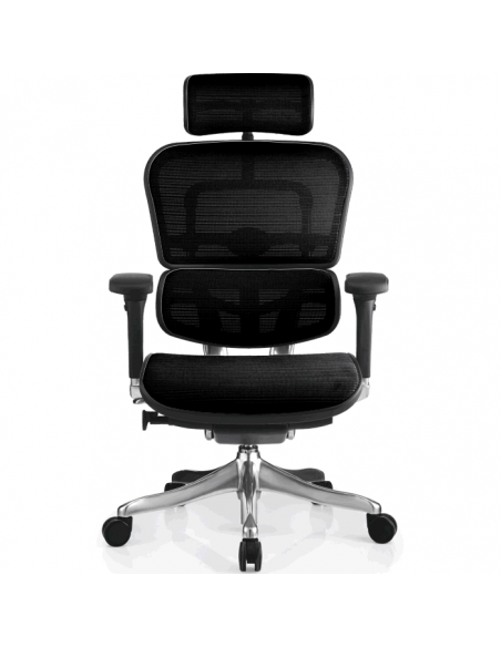 Кресло компьютерное ERGOHUMAN PLUS, эргономичное, черного цвета