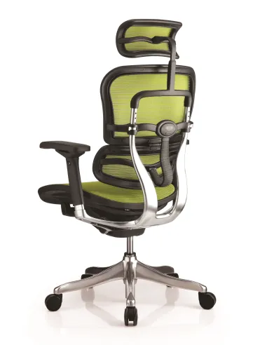 Кресло компьютерное ERGOHUMAN PLUS, эргономичное, черного цвета