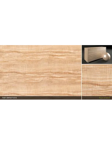 Cтол компьютерный FRAYZER с регулировкой высоты