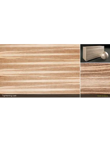 Cтол компьютерный FRAYZER с регулировкой высоты