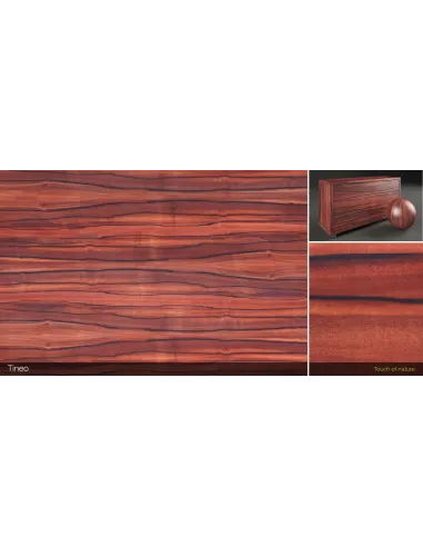 Cтол компьютерный FRAYZER с регулировкой высоты