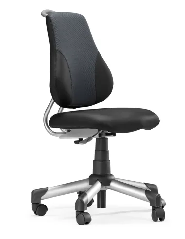 Крісло LIBAO LB-C01 - Купити дитяче крісло. Ціна в Києві, Харкові, Дніпрі, Одесі, Донецьку, Запоріжжі, Львові: огляд