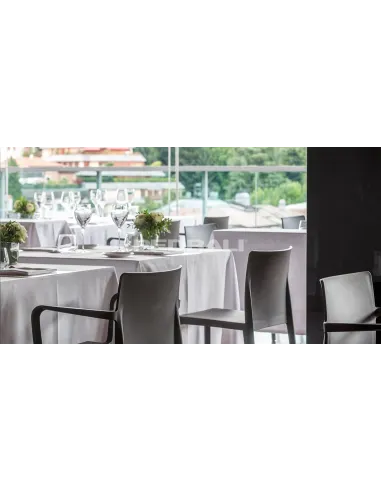 Стул PEDRALI VOLT 675 графитовый