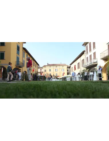 Стул барный PEDRALI VOLT 678 графитовый