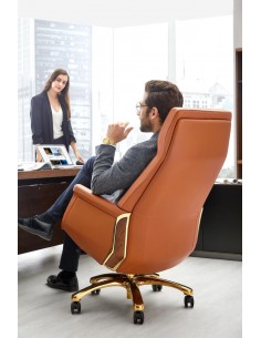 Кресло премиум-класса... 2