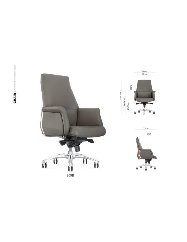 Кресло FORBES SILVER LB премиум-класса, для руководителя, кожаное