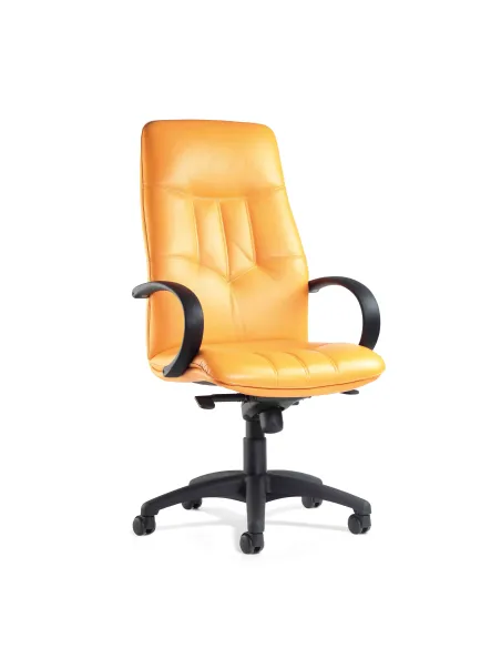 Кресло ZEFLA MANCHESTER 801 для руководителя — кожа, синхромеханизм Donati | Kreslalux