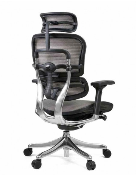 Кресло компьютерное ERGOHUMAN PLUS, эргономичное, серого цвета