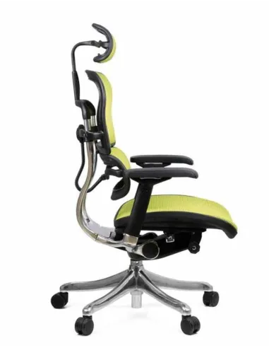 Кресло компьютерное ERGOHUMAN PLUS, эргономичное, зеленого цвета