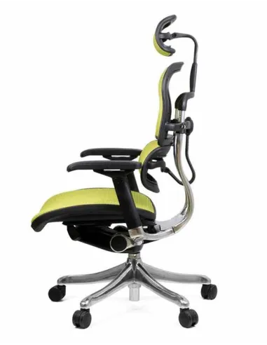 Кресло компьютерное ERGOHUMAN PLUS, эргономичное, зеленого цвета