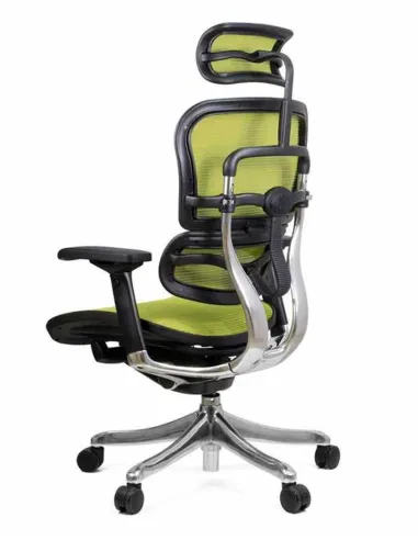 Кресло компьютерное ERGOHUMAN PLUS, эргономичное, зеленого цвета