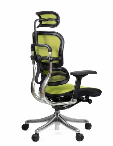 Кресло компьютерное ERGOHUMAN PLUS, эргономичное, зеленого цвета