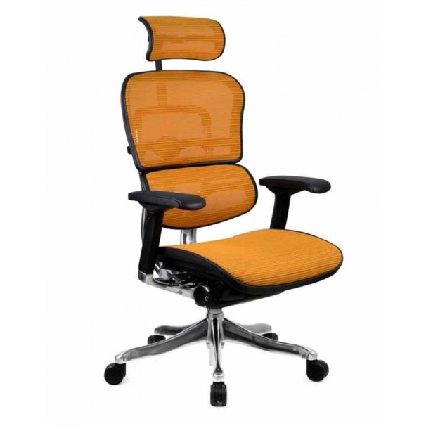 Кресло компьютерное ERGOHUMAN PLUS, эргономичное, оранжевого цвета