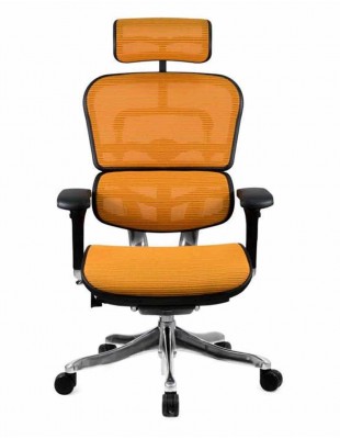 Кресло компьютерное ERGOHUMAN PLUS, эргономичное, оранжевого цвета 2